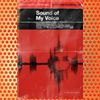Sound of My Voice (2011)