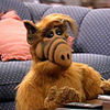 Alf