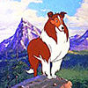 Lassie