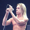 Iggy Pop