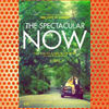The Spectacular Now (2013)