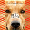 A Dog's Purpose (2017)