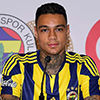 Gregory van der Wiel - Fenerbahçe