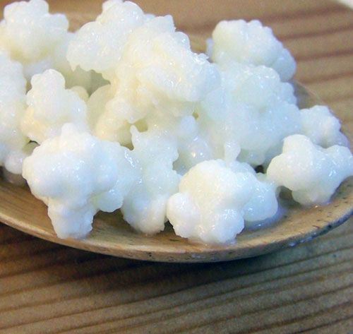 Kefir