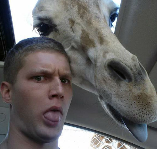 zürafa selfie