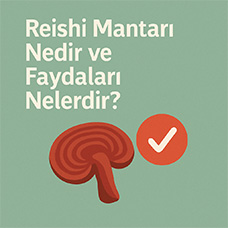 Reishi Mantarı Nedir ve Faydaları Nelerdir?