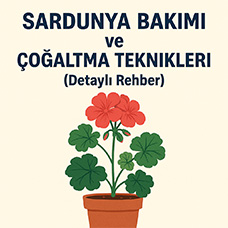Sardunya Bakımı ve Çoğaltma Teknikleri (Detaylı Rehber)