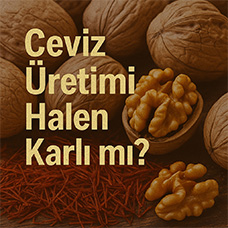 Ceviz Üretimi Halen Karlı mı?