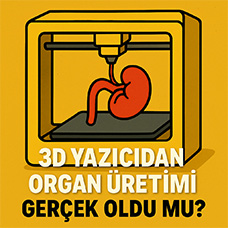 3D Yazıcıdan Organ Üretimi Gerçek Oldu mu?