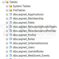 asp.net membership databse tables