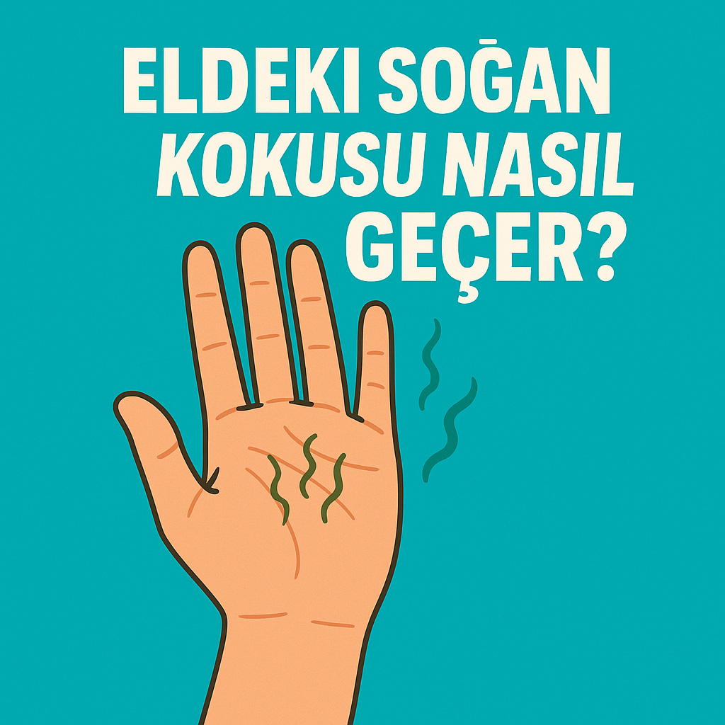 Eldeki Soğan Kokusu Nasıl Geçer? Eldeki Soğan Kokusu Nasıl Geçer?