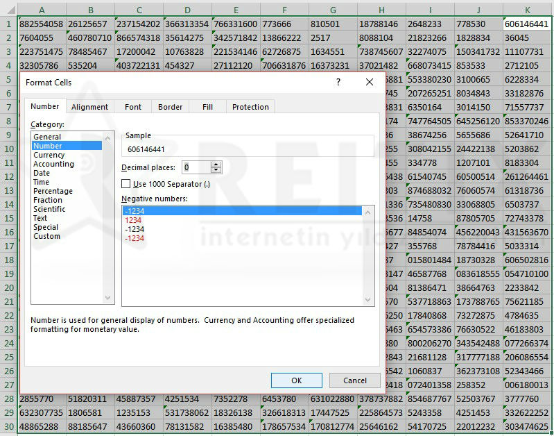 excel format as number