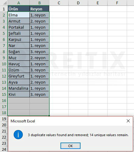 excel meyve sebze