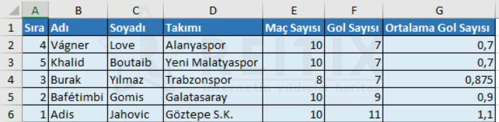 excel sıralama işlemleri sonuç