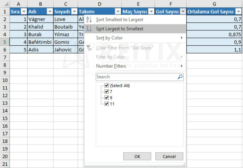 excel filter sorting