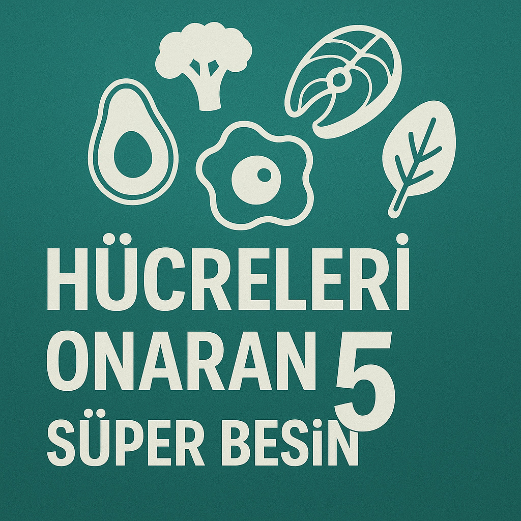 Hücreleri Onaran 5 Süper Besin Hücreleri Onaran 5 Süper Besin