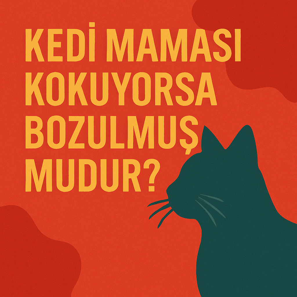 Kedi Maması Kokuyorsa Bozulmuş mudur?