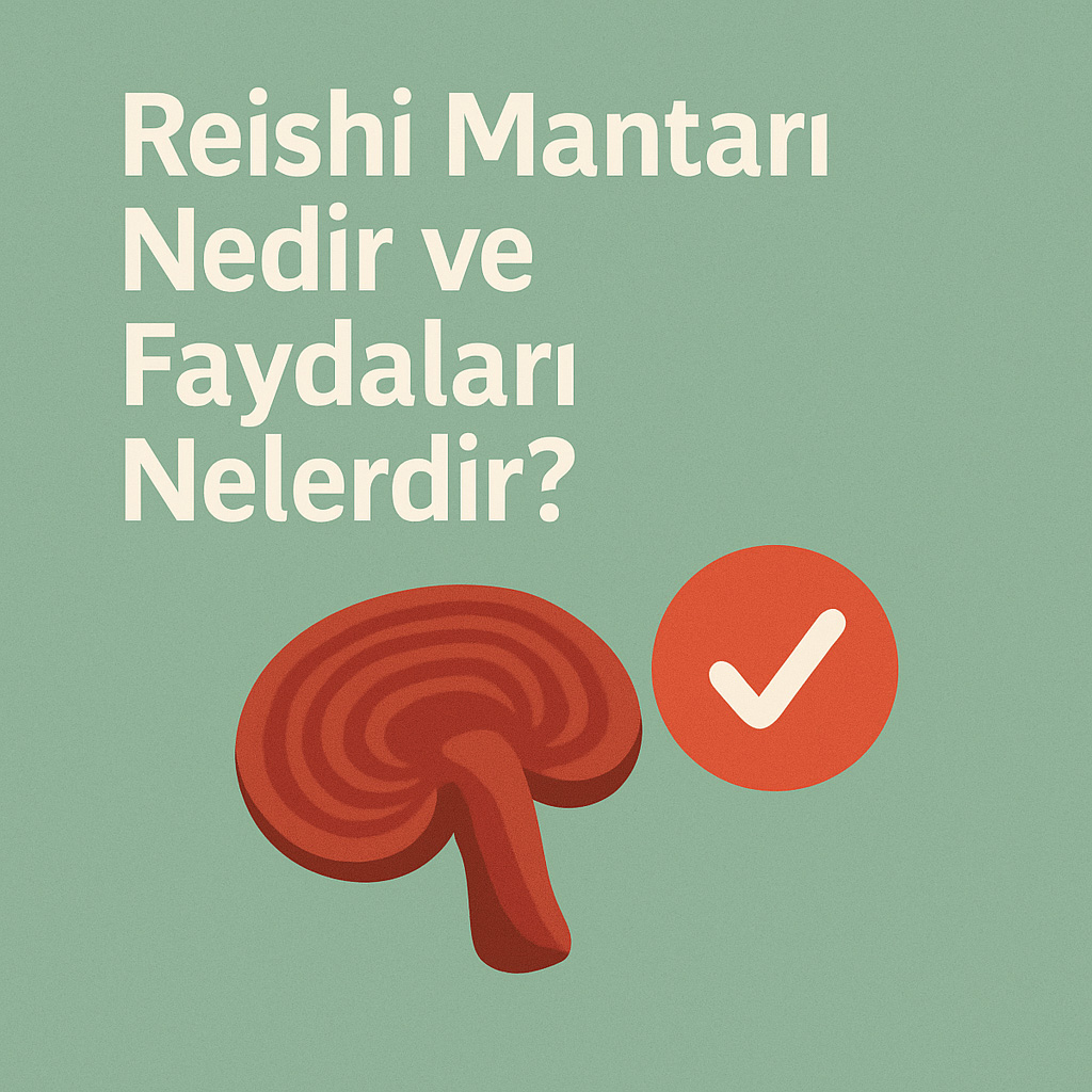 Reishi Mantarı Nedir ve Faydaları
