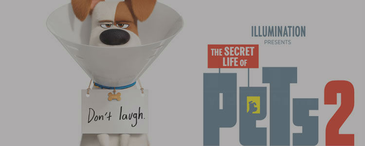 The Secret Life of Pets 2 2019