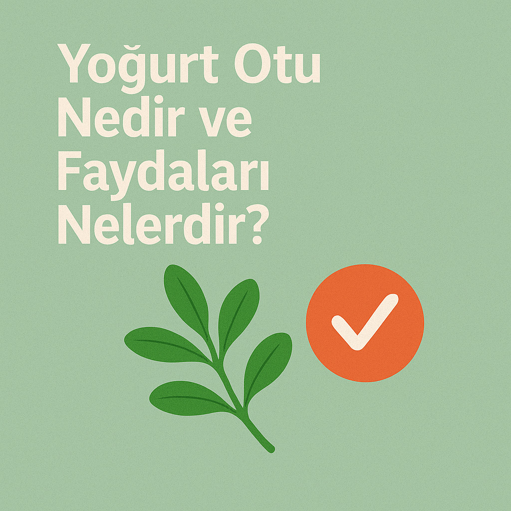 Yoğurt Otu Nedir ve Faydaları Nelerdir