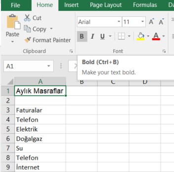 excel bold