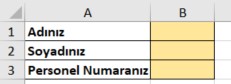 excel makro form