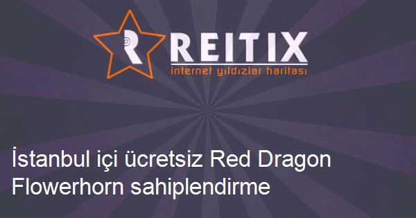 İstanbul içi ücretsiz Red Dragon Flowerhorn sahiplendirme
