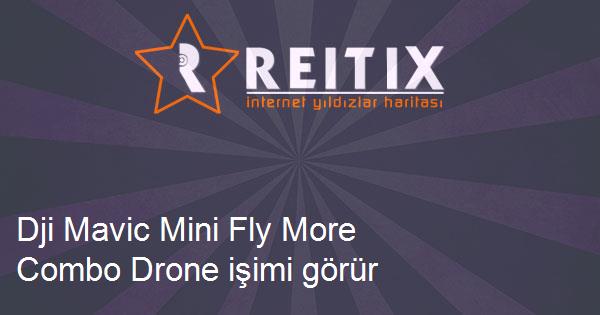 Dji Mavic Mini Fly More Combo Drone işimi görür mü?