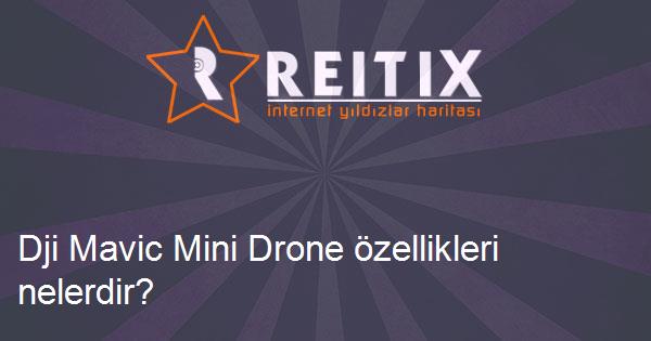 Dji Mavic Mini Drone özellikleri nelerdir?