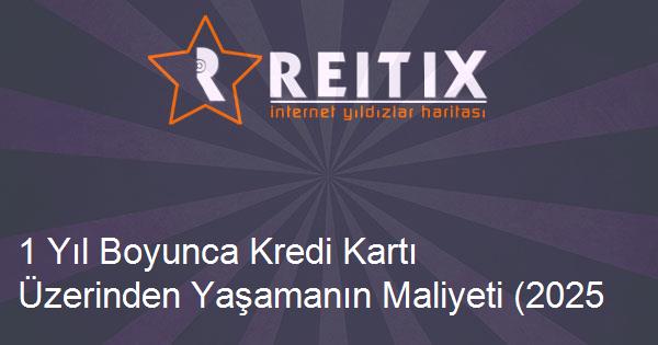 1 Yıl Boyunca Kredi Kartı Üzerinden Yaşamanın Maliyeti (2025 Excel Uygulaması)