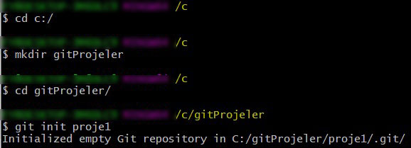 git init windows