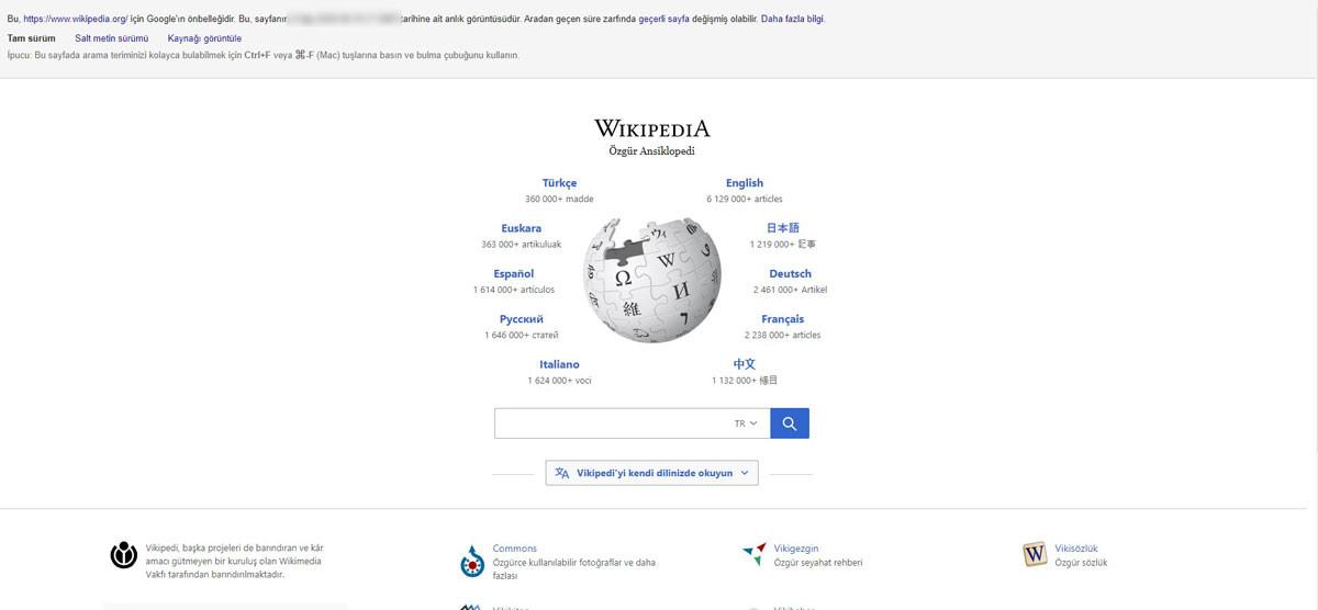 google cache wikipedia