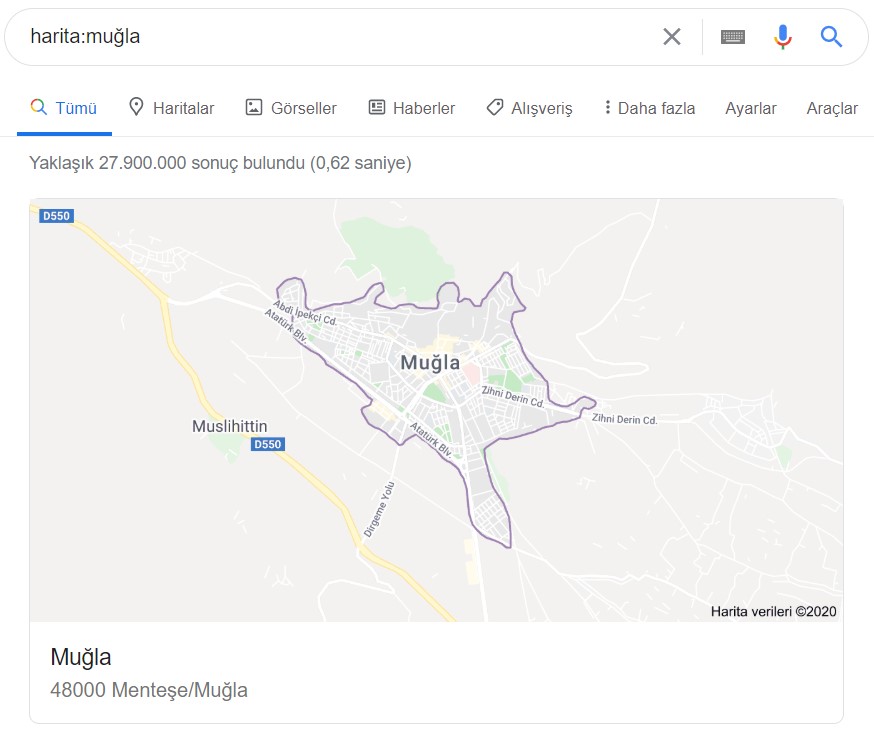 google şehir haritası