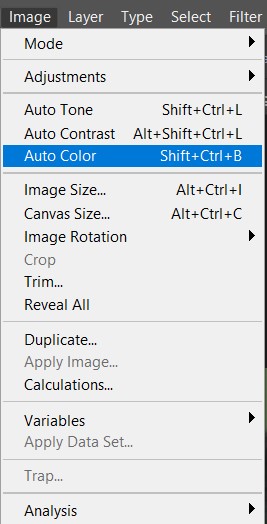 photoshop auto color menu