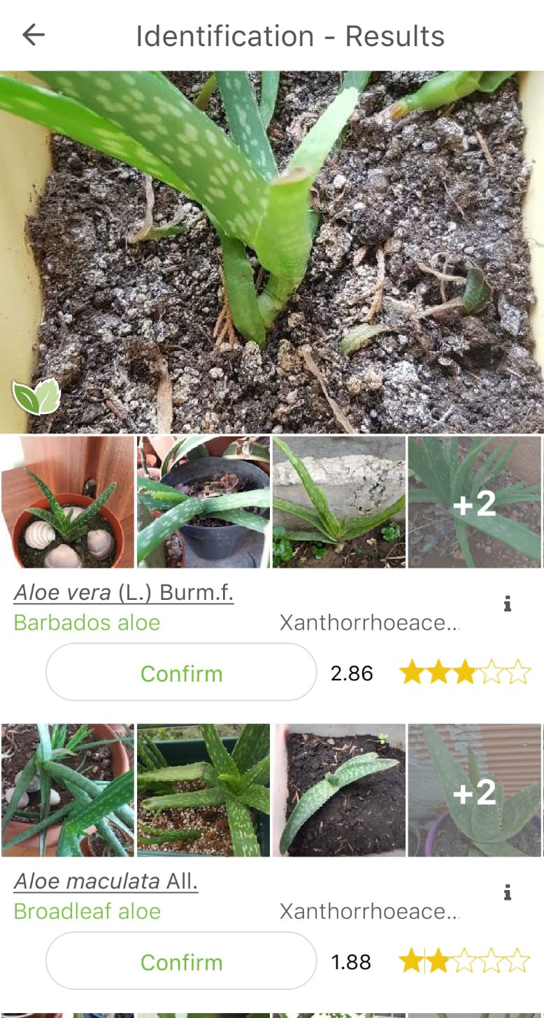 plantnet app