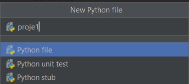 python file